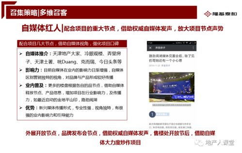 房地产开盘前营销推广执行案